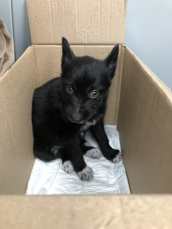 E76E7FBE-984D-43D2-BAE3-C246A1FE8452