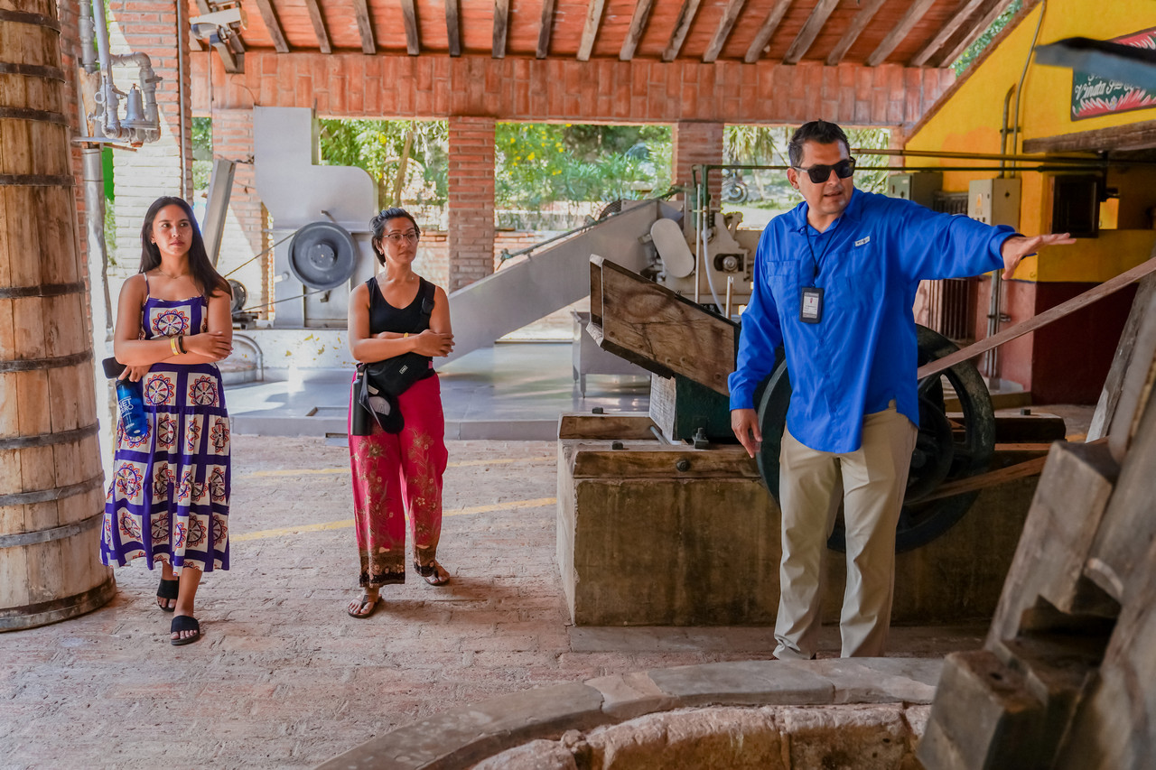 Agave Spirits and Mexico Heritache