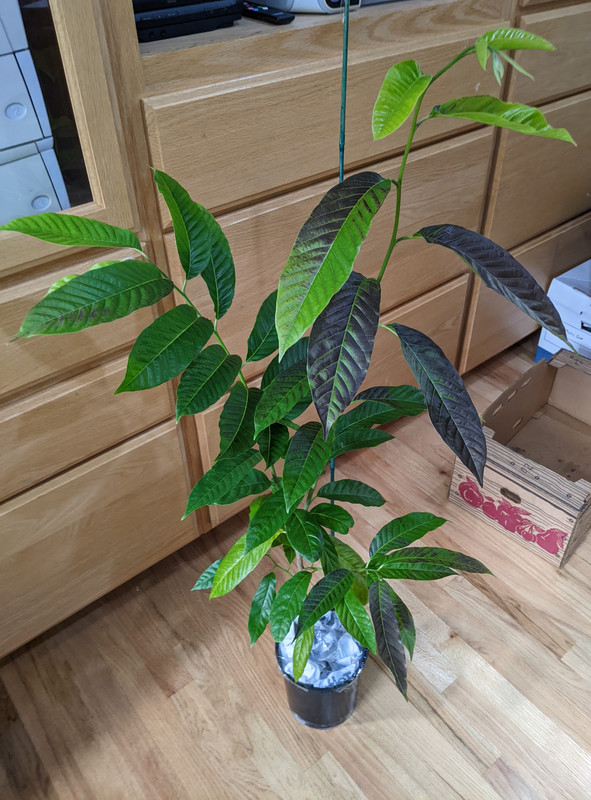 PXL_20230927_171947383