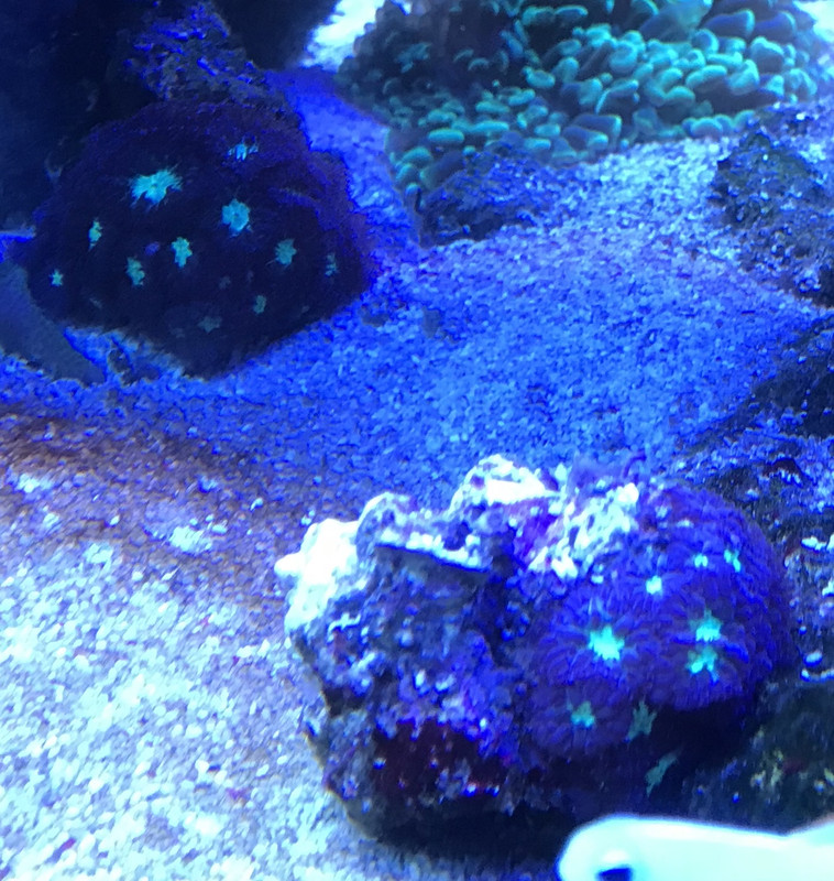 799FCF3A-04C8-45C4-97A0-671D3423E8EF