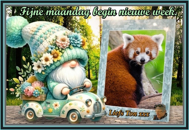 www.krabbelplaatjes.com