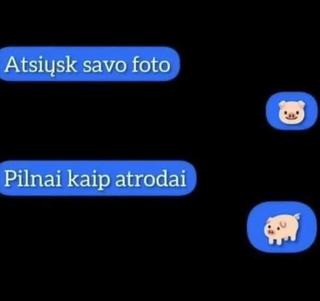 Paveikslėlis