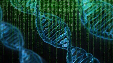 Optimization Using Genetic Algorithms : MATLAB Programming