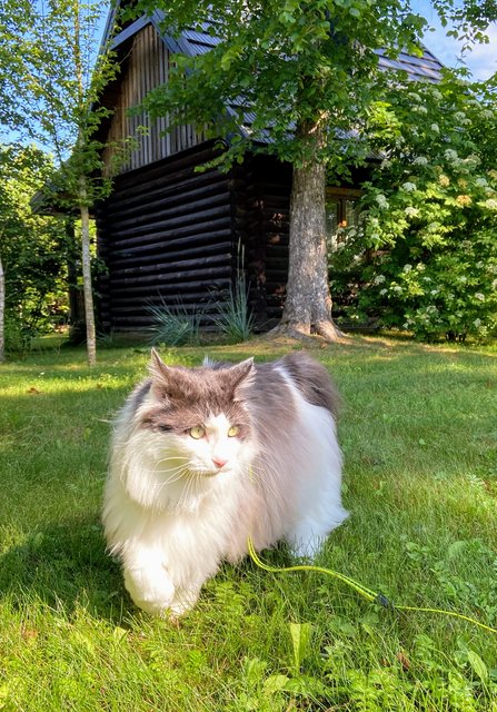 62-C5287-C-4-E9-B-4-EF8-8-AD6-8-E59-ADD2