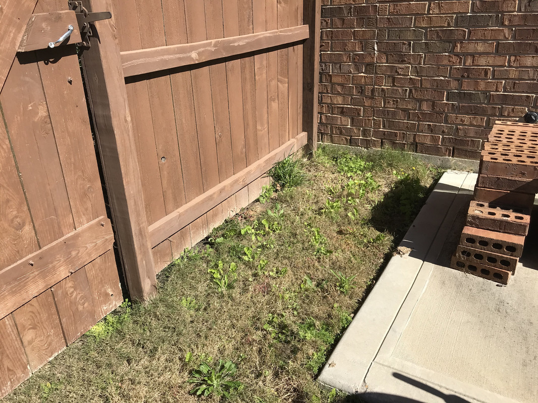 BDC6B4AB-0F98-486D-8B99-18A4B553BA2F