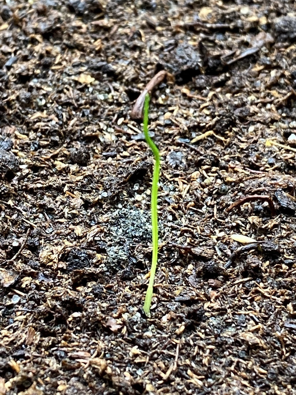 66821774-DEE7-4FBF-B84A-DD7B3BB9FEF5