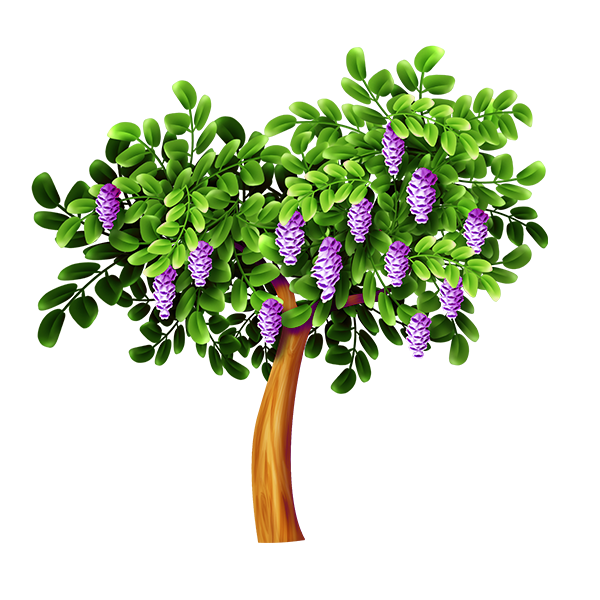 KBK_ForestSchool (101)