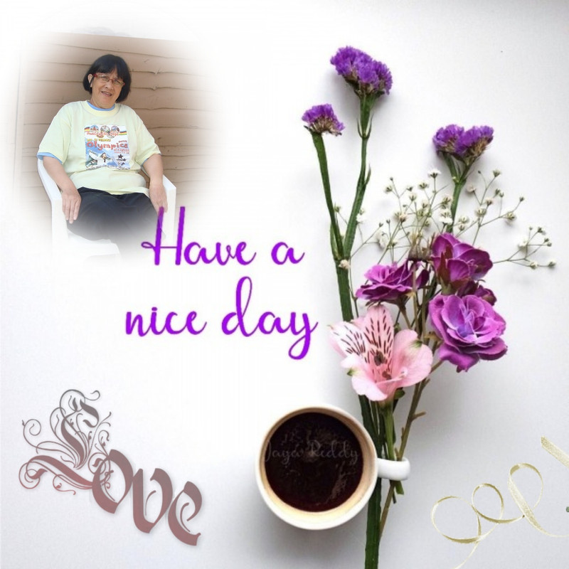 Image and video hosting by TinyPic