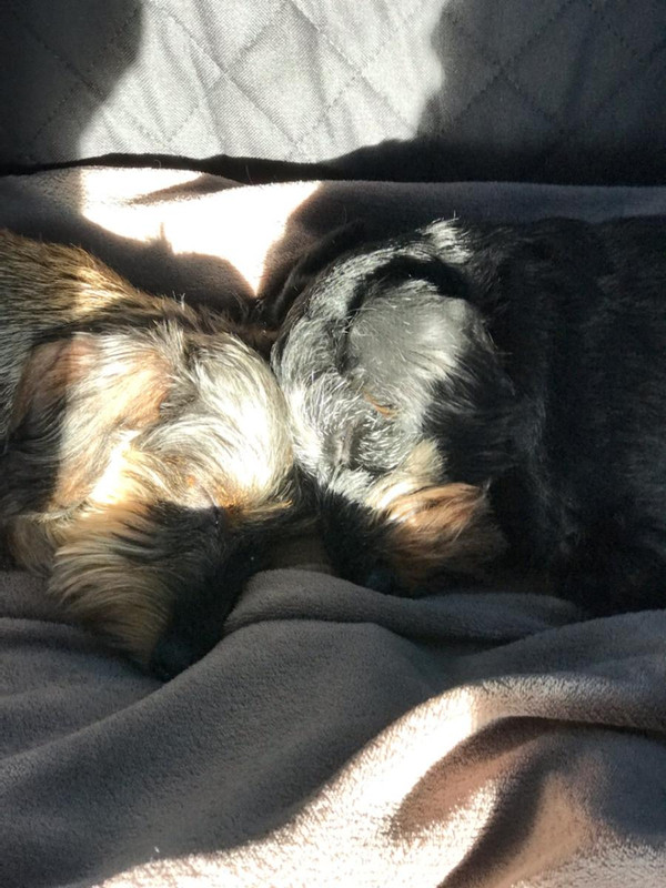 [Image: IMG-9940.jpg]