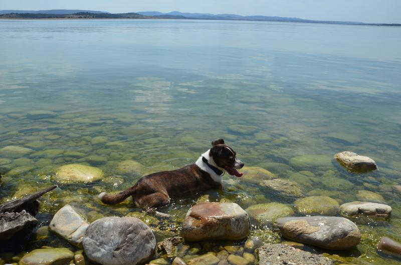 EXTREMADURA Y SUS PUEBLOS -2010-2023 - Blogs de España - EMBALSE DE VALDECAÑAS-2019/2023 (11)