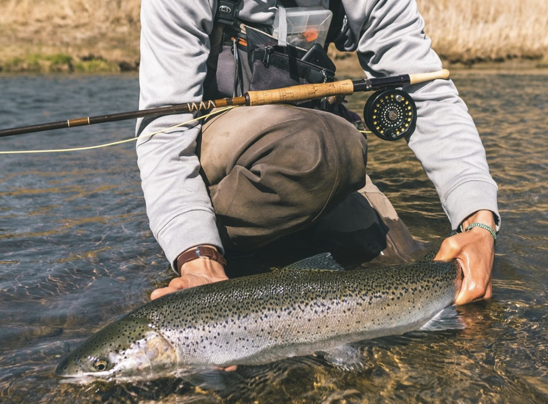 Screen Shot 2021-05-02 at 1.19.35 PM