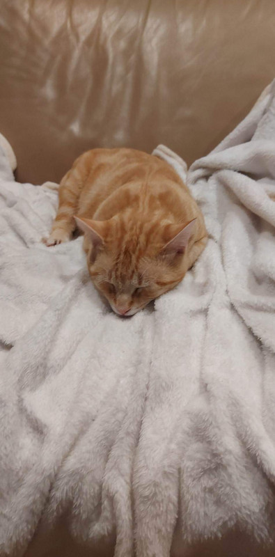 received_229100479880450