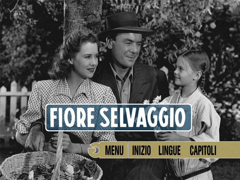 vlcsnap-2018-10-15-20h46m47s477