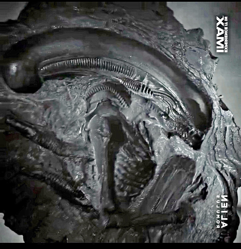 5FCE2C71-06FF-4AE3-A471-024DFBCFA558