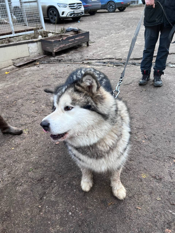 2EF8CFD9-ADC7-4FAF-9E02-21A669E4EF5C