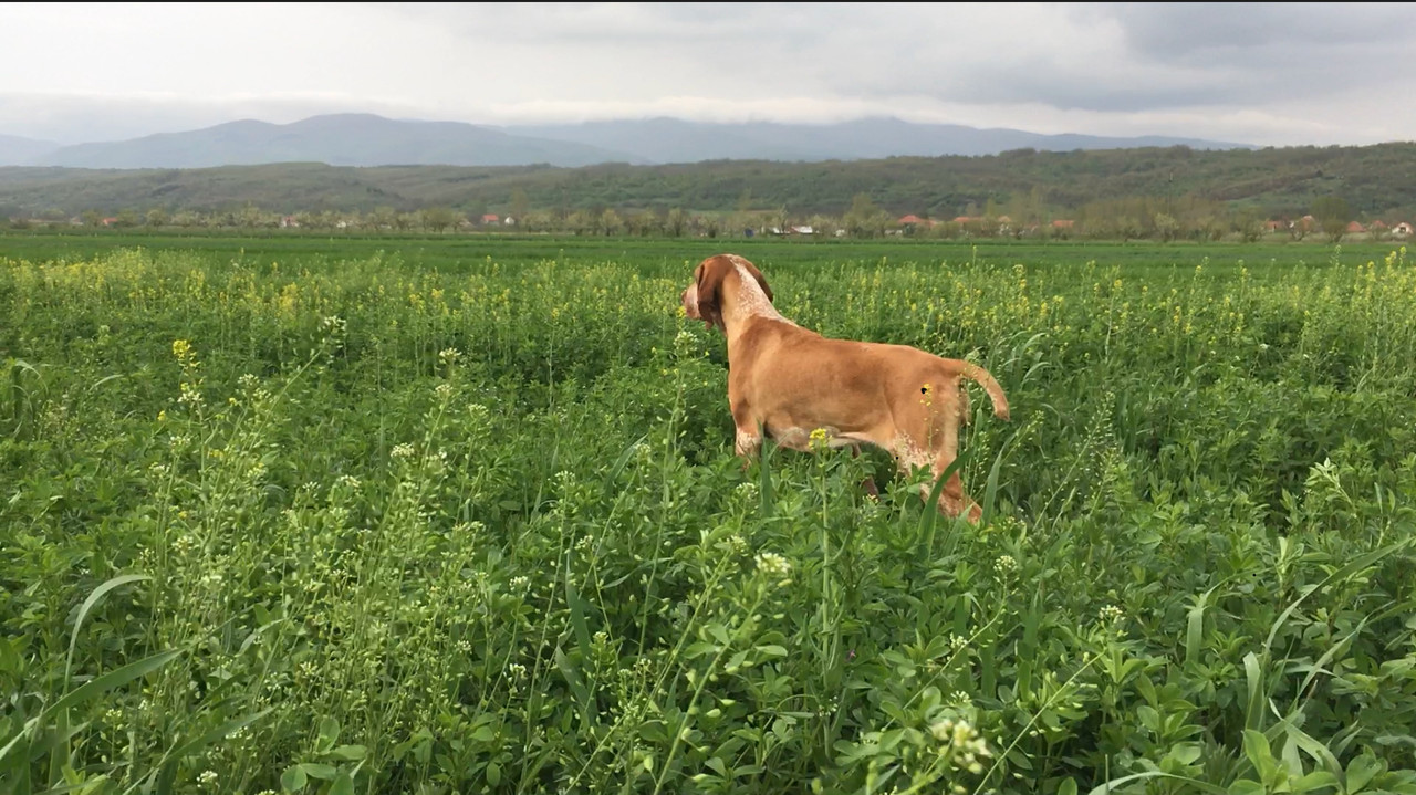 C69874CA-FB1E-4215-BAF6-F31B4D0E491E