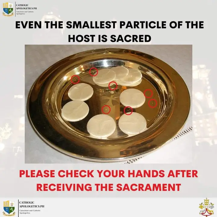 [Image: Sacros.webp]
