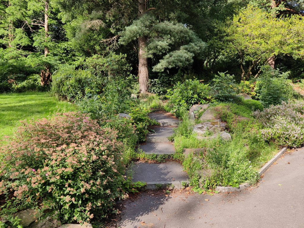 IMG_20200802_171030 stock