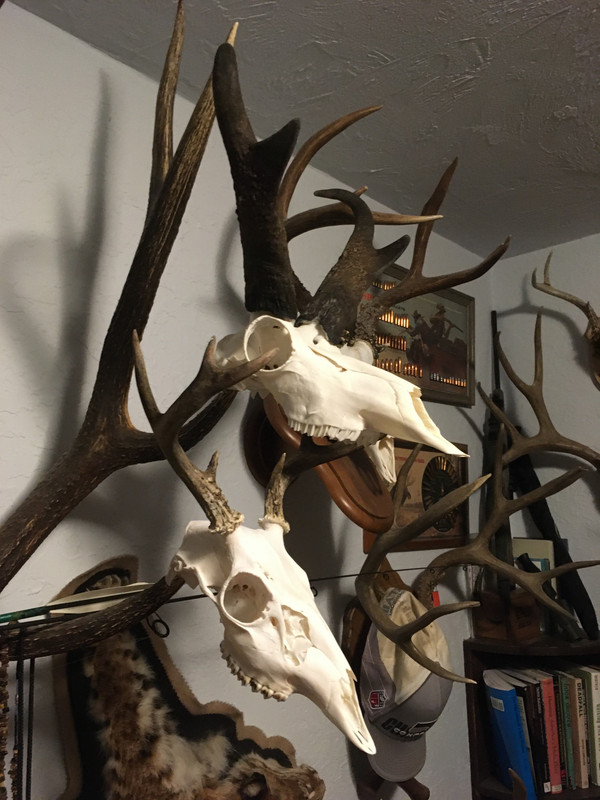 0D0CBB07-71D7-4A55-BC9A-49A62C34BBA9