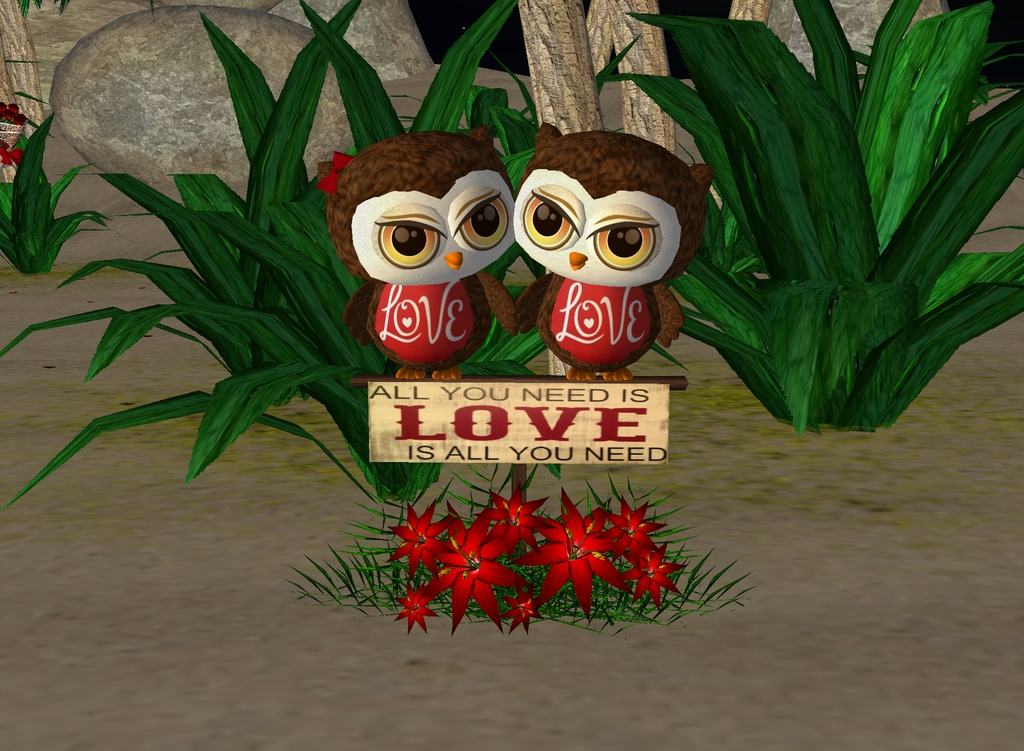 Love-Owls-2