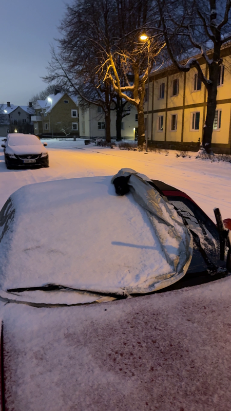 vlcsnap 2026 03 17 14h45m51s774