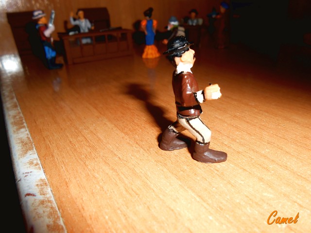 DSCN6154