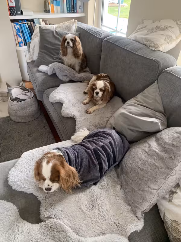 E9E89E49-B0D2-486A-BC16-EC7F09A86B56