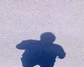 Sjnh7.gif