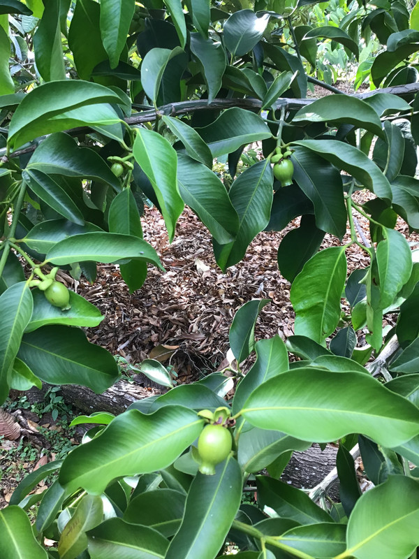 3B2703A0-2D83-4AE5-B1B5-20A123657FC0