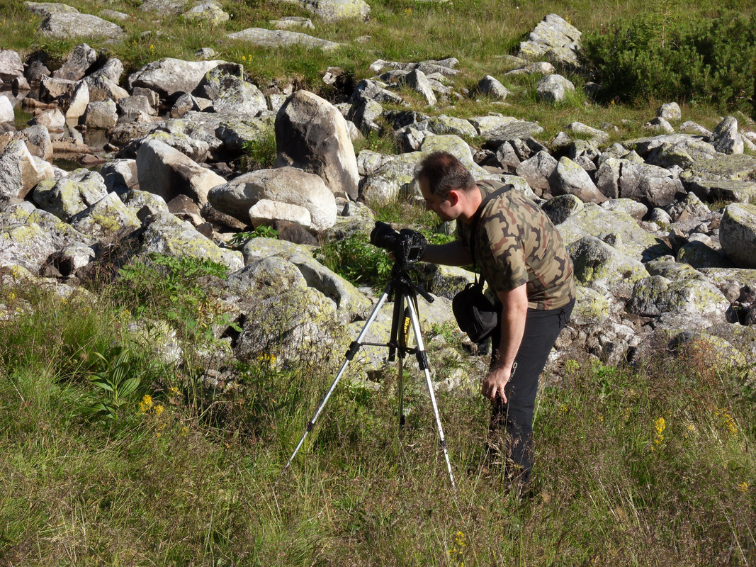 37 - SDC12138 (Czesio1)