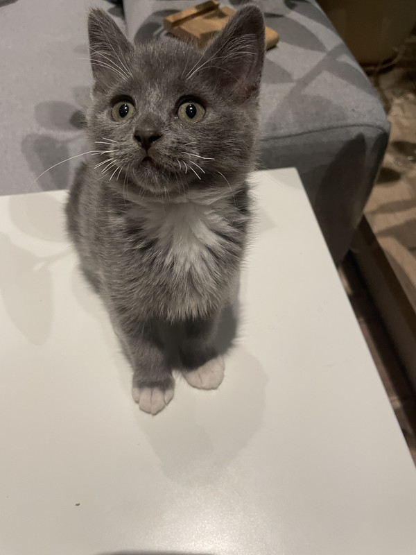 D2FDF457-70FA-4981-9117-0AEAA48FC321