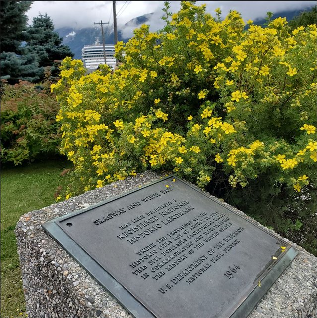 [Image: 20250820-AKSkagway14904.jpg]