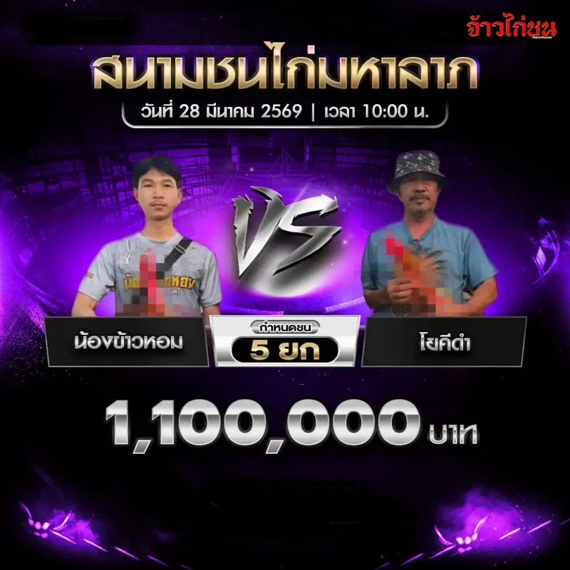 โปรแกรมไก่ชน คู่ น้องข้าวหอม พบ โยคีดำ วันที่ 28 มีนาคม 2569
