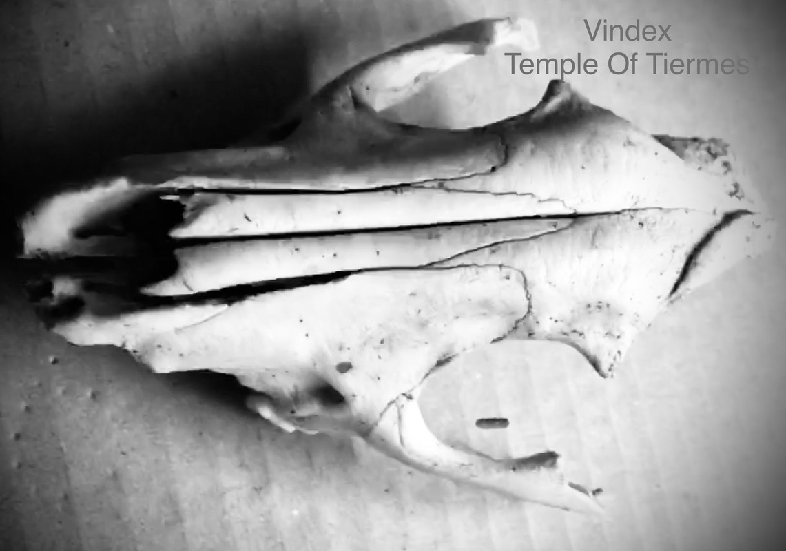 03007B3C-C105-4C12-B0C1-DC27D35C927E