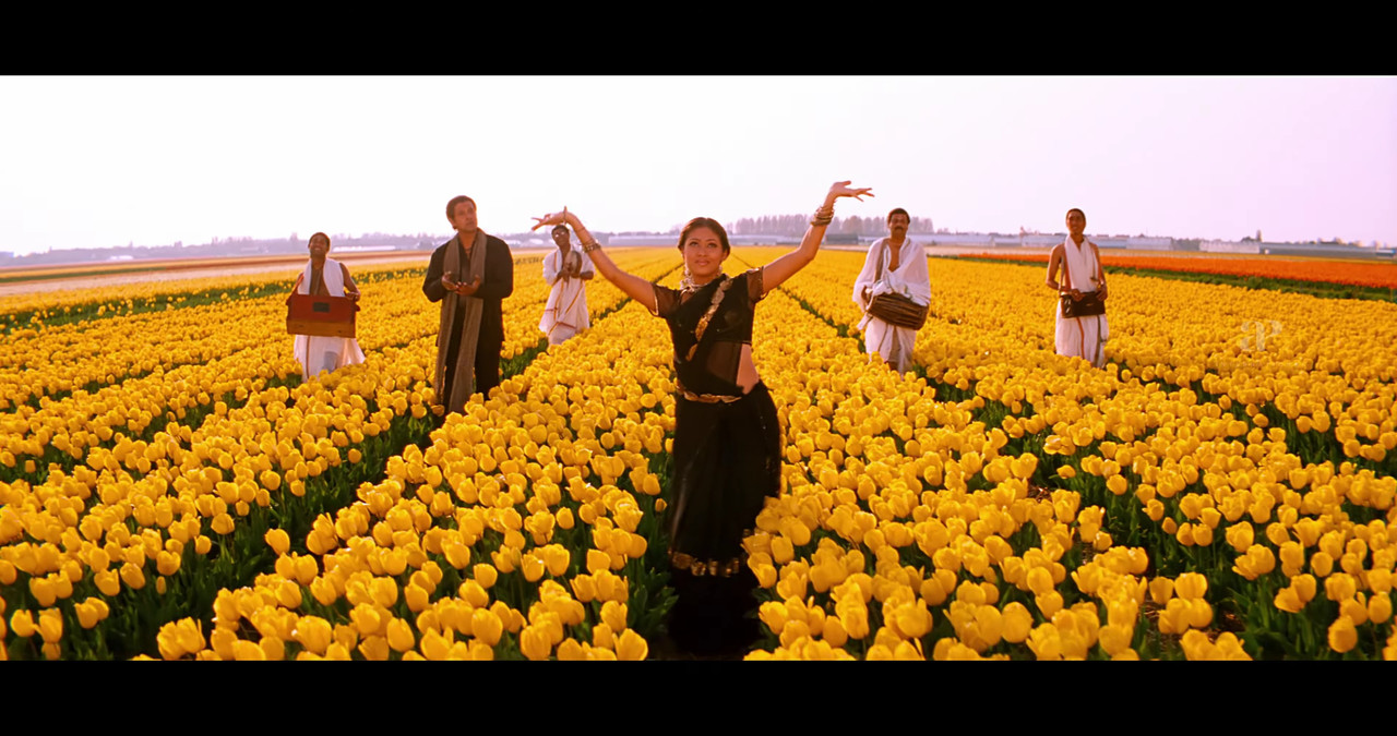 VideoCapture_20241122-195407