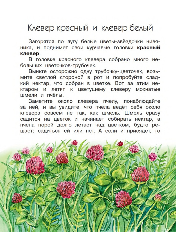 Onegov-Anatolij-Pochemu-kukushka-slozki-lot-page-0025