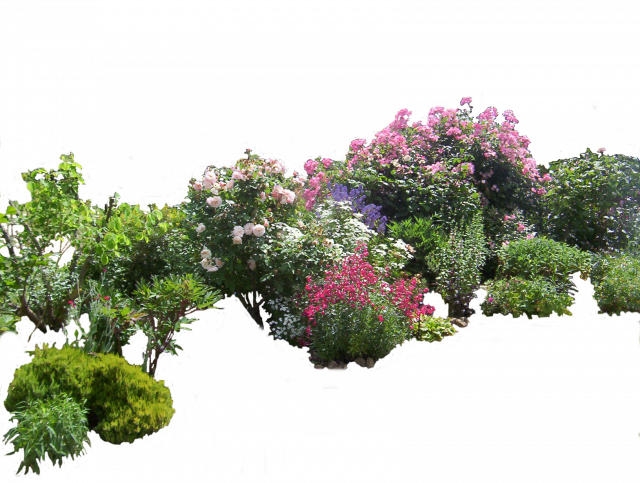 flowered_garden_png_03_by_hermitcrabstock_d4gyg0h.md