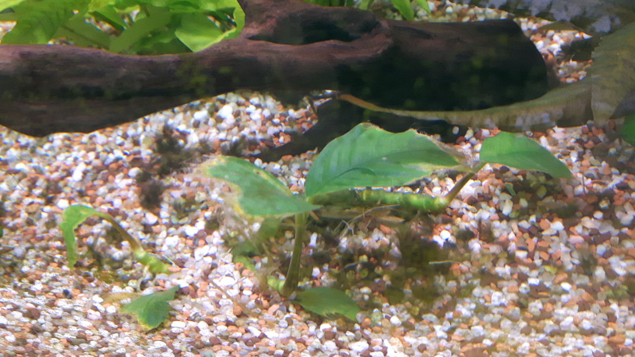 20170215_140102(0)[1]