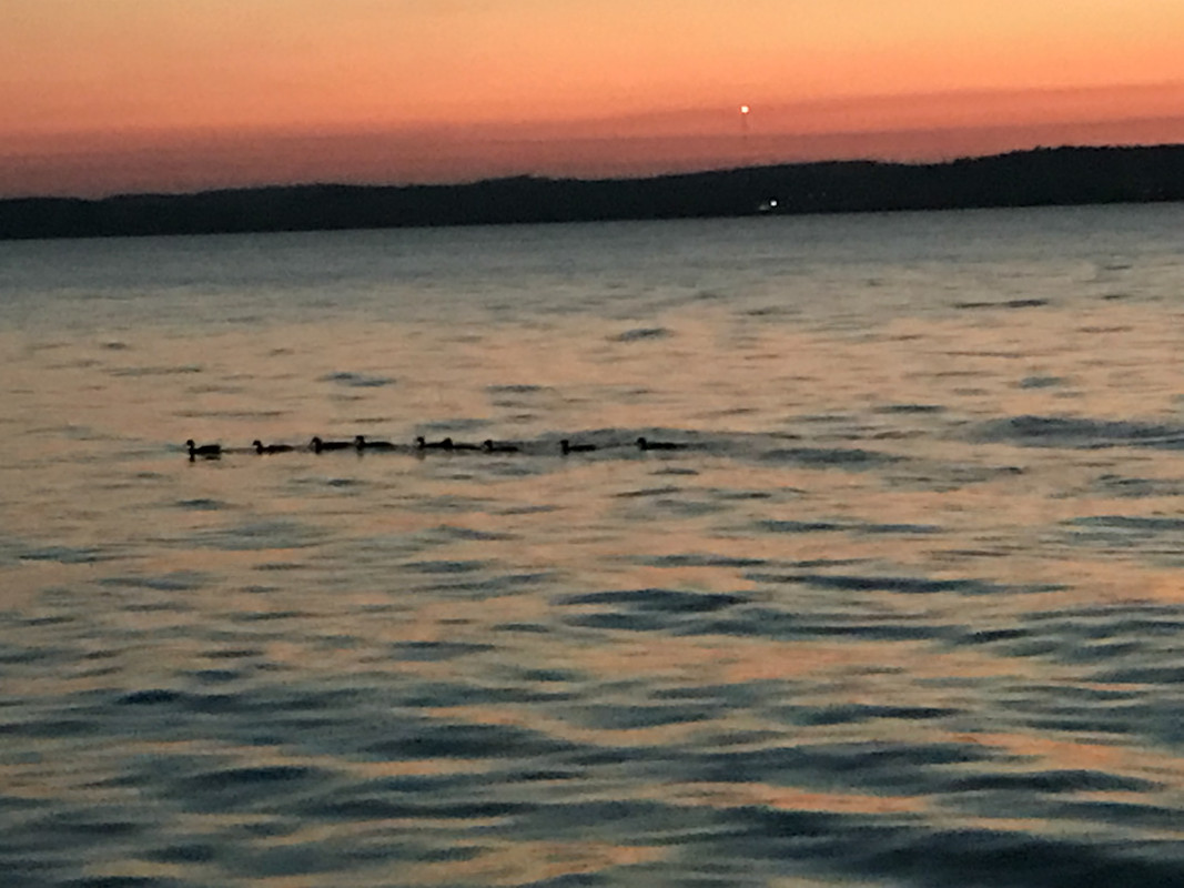 70441C5F-8275-4FC6-BB27-6FC201C50009