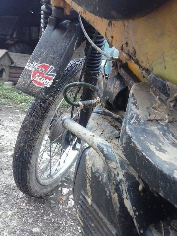 11721807_903549456370792_833586734_n