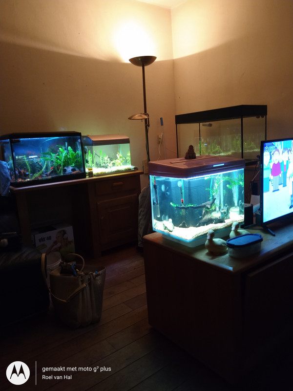 IMG_20201116_202801066