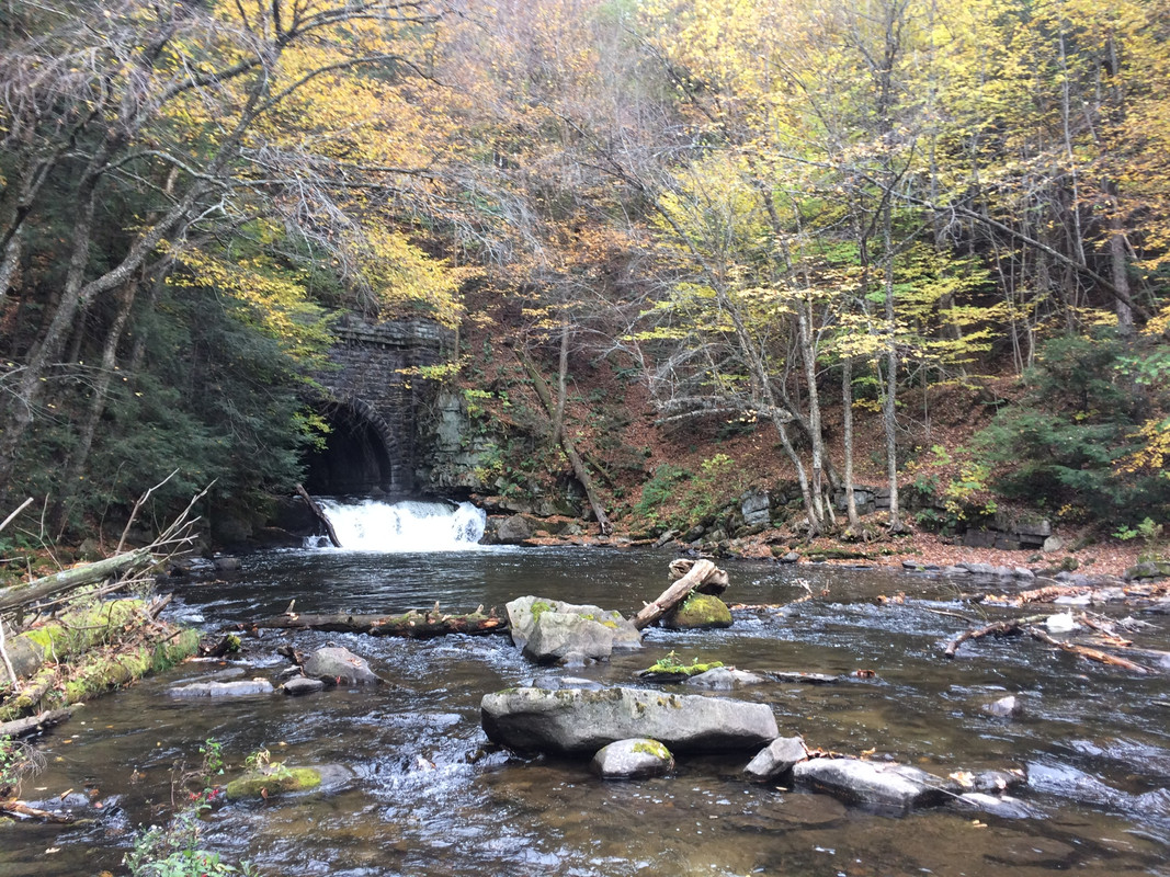 0F457A66-39DB-4C85-B680-60CE045D5DCF