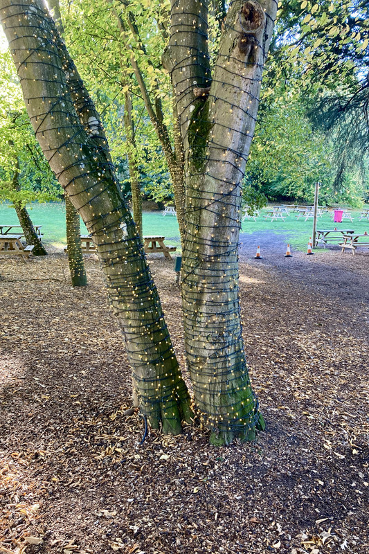 66497771-E32B-4CD4-B76A-070EE475F115