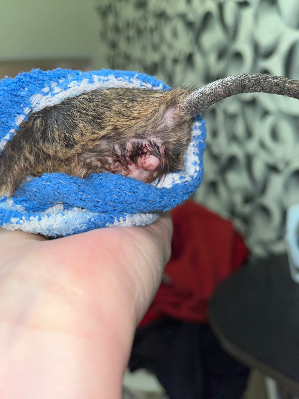 98847530-9076-40D9-8325-E8E68ADBBA85