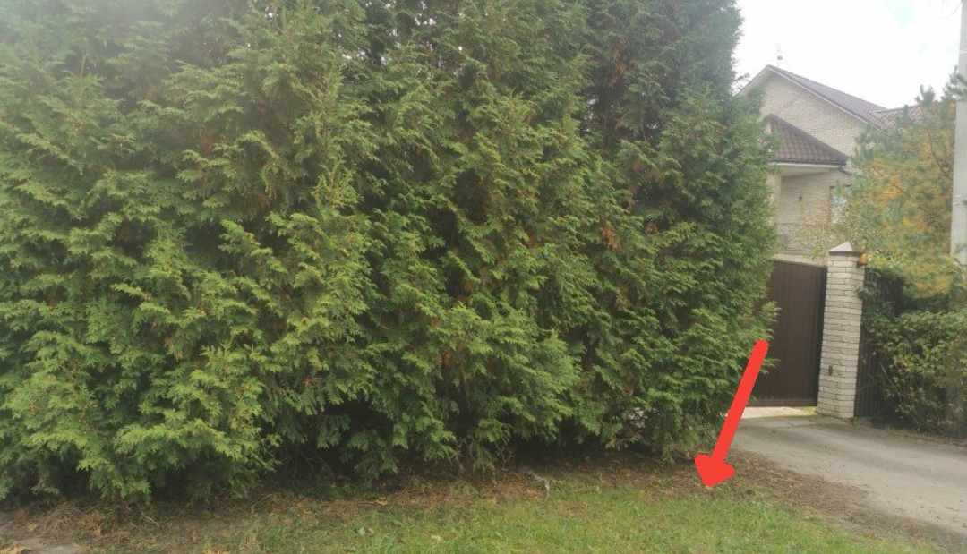 Screenshot_20250930_114450_ch.blinkenlights.android.vanilla_edit_49942057571024