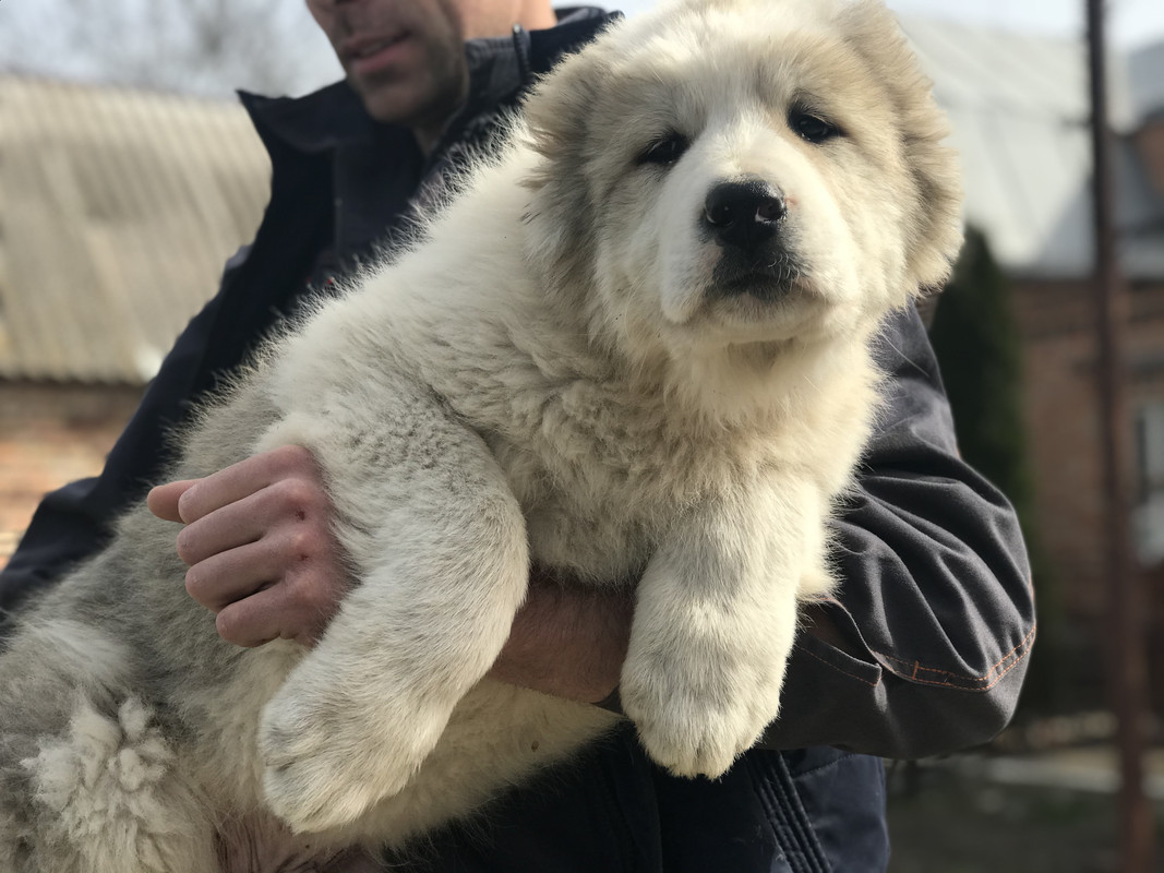 AF534D24-B1AF-4719-BDFE-3A9E0E96DDAF