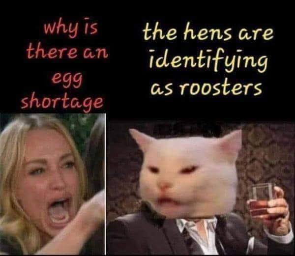 [Image: hens.jpg]