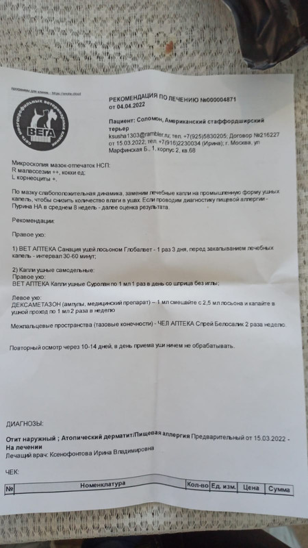 0B3F2EF3-4CCE-4195-B88A-4C7E4224E3C9