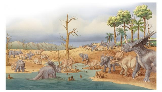 7f6a1b9c07deac56c5c7d0ec48256fab