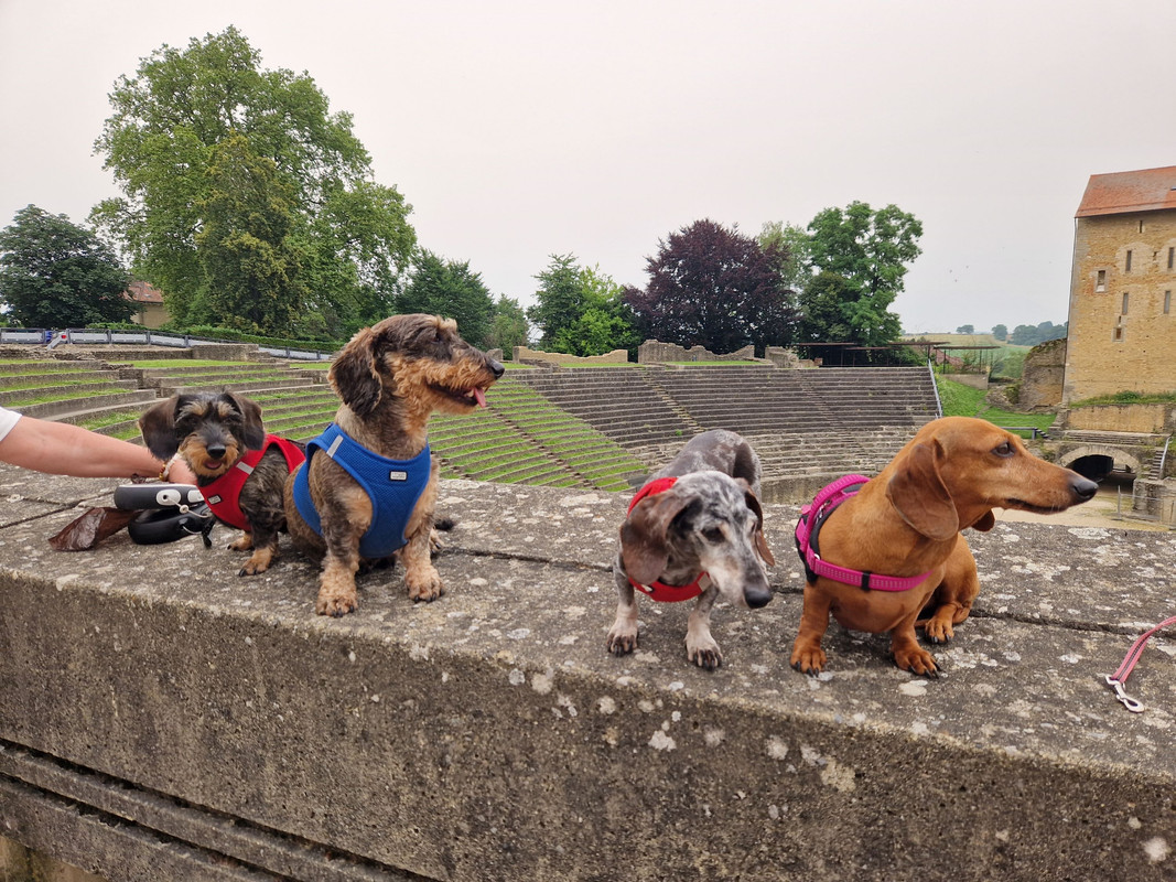 [Image: 20240629-145910.jpg]